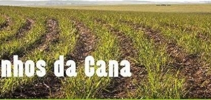 Tem início o Caminhos da Cana 2017/18