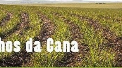 Tem início o Caminhos da Cana 2017/18