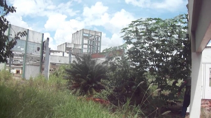 A triste agonia da Galo Bravo