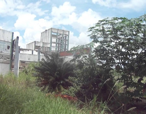 Ruínas da Galo Bravo