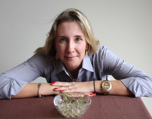 Danila e a semente de cana