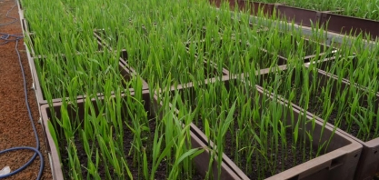 Geraldo Alckmin entrega os cinco primeiros pacotes de 