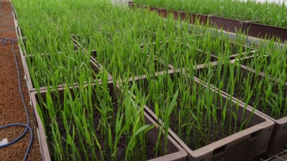 Geraldo Alckmin entrega os cinco primeiros pacotes de 