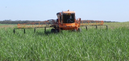 Agro-pastoril Paschoal Campanelli participará do 1º INOVACANA