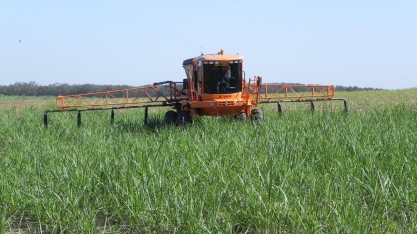Agro-pastoril Paschoal Campanelli participará do 1º INOVACANA