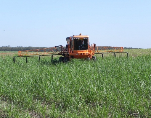 Pacote de tecnologias faz parte do sucesso da Agro-pastoril Paschoal Campanelli