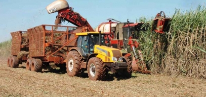 Dia de Mercado de Cana-de-Açúcar vai ser realizado em Campo Florido