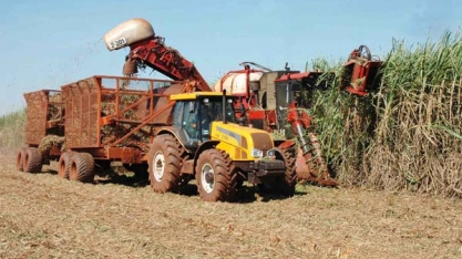 Dia de Mercado de Cana-de-Açúcar vai ser realizado em Campo Florido