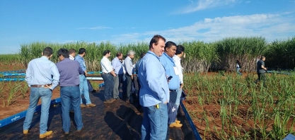 Syngenta lança projeto Integrare Cana