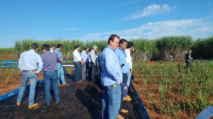 Syngenta lança projeto Integrare Cana