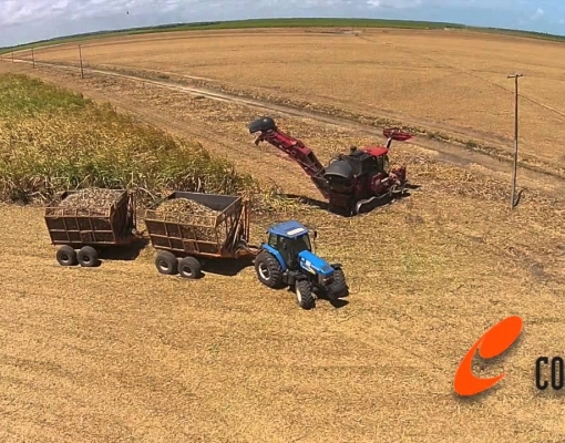 “Se a cana estiver em pé, posso ir um pouco mais rápido, mas se estiver caída, tem que diminuir a velocidade”, diz Lucimar
