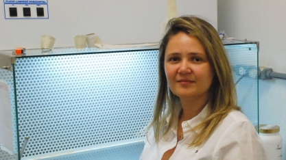 RIDESA trabalha em diferentes frentes para lançar variedades transgênicas