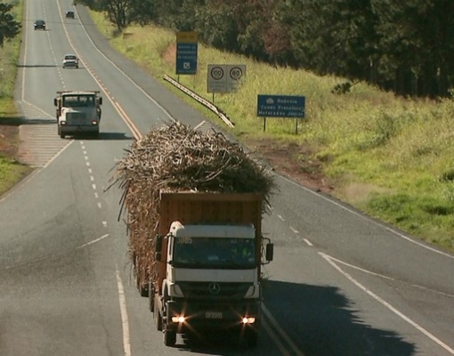 Caminhoneiros descumprem determinação e transportam cana-de-açúcar sem lona (Foto: Reprodução/EPTV)