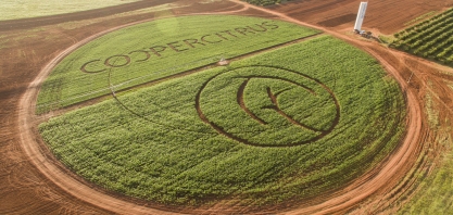 Tecnificar é o caminho para o crescimento produtivo da agropecuária