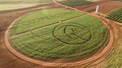 Tecnificar é o caminho para o crescimento produtivo da agropecuária