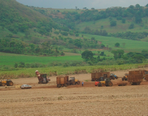 Frente de colheita de cana-de-açúcar: o diesel é o combustível que move as máquinas