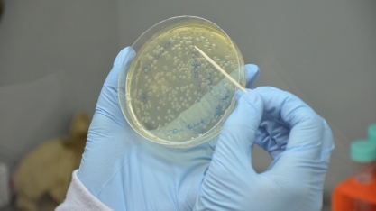 Pesquisadores desenvolvem microrganismos para retirar energia e produtos de biomassa