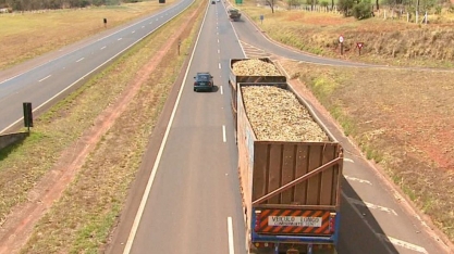 Caminhoneiros da região desrespeitam lei que obriga cobrir carga de cana com lona