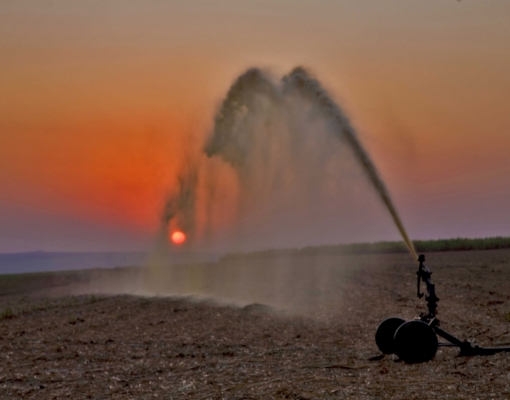 Hoje, a certificação da produção agrícola é um diferencial competitivo, no futuro será um requisito básico para a venda