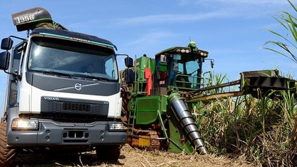 Quase totalmente mecanizada, lavoura de cana tem caminhão sem motorista