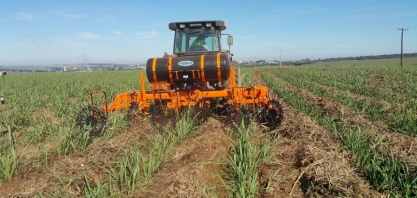 Canavial com palha pede implementos como Desenleirador acoplado ao Aplicador de Inseticidas em Soqueiras