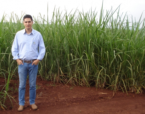 O lançamento vai ser feito regionalmente – informa Roberto Giacomini Chapola