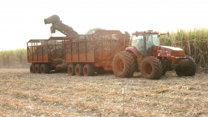 Novo método operacional de colheita de cana proporciona aumento do rendimento operacional da colhedora e na quilometragem do transbordo