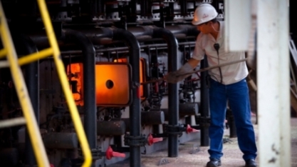 Diversificação no uso do bagaço de cana abre novas perspectivas de mercado para o setor