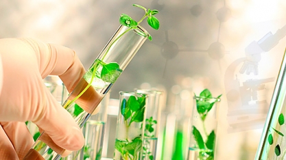 Governo de SP irá vender 9 fazendas de pesquisas