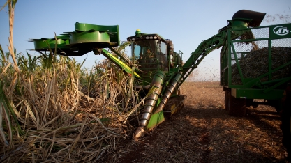 Perdas de matéria-prima e quebra do equipamento: dois graves problemas na colheita mecanizada de cana
