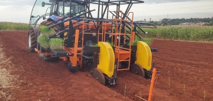 Plantadora automatizada de mudas pré-brotadas AgMusa™ é destaque na Agrishow