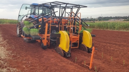 Plantadora automatizada de mudas pré-brotadas AgMusa™ é destaque na Agrishow