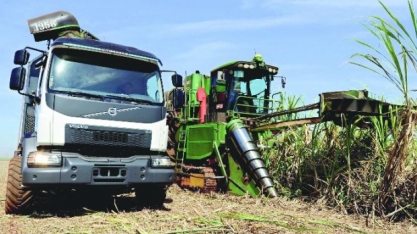 Doce sabor da tecnologia