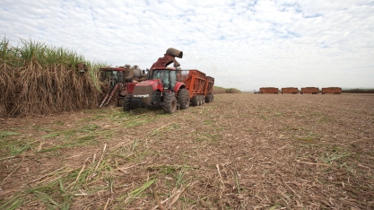 O impacto na indústria com a mecanização da colheita