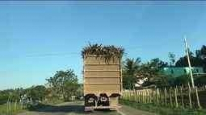 Carga de cana-de-açúcar é levada por caminhão sem proteção, no Sul do ES