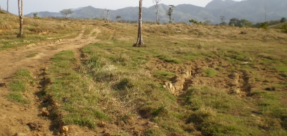 Setores do Agronegócio e o Florestal vão precisar se movimentar para o Brasil cumprir a meta de reduzir as emissões de gases de efeito estufa
