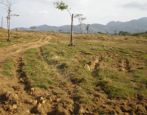 Na área agrícola, o Brasil se propôs a recuperar 15 milhões de hectares de pastagens degradadas adicionais