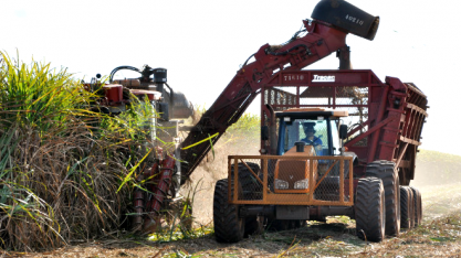Muitas Incertezas na Safra 2017/18