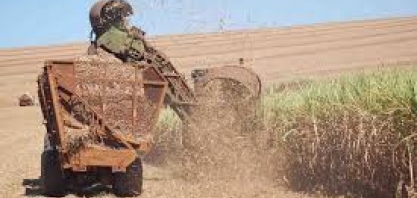 Moagem da cana em MG está em 5,4 mi de t