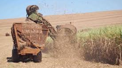 Moagem da cana em MG está em 5,4 mi de t