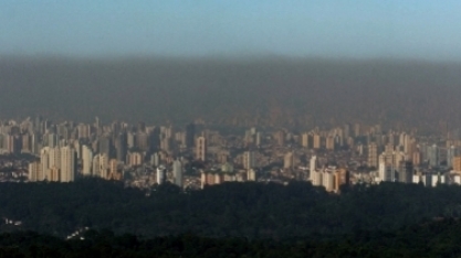 Iniciativa global defende RenovaBio para Brasil alcançar metas de Paris