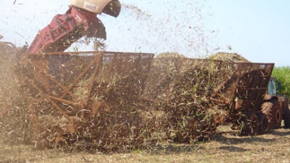 CS: perto do fim da safra 2016/17, volume processado de cana na quinzena cai mais de 38,5%