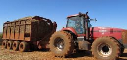 Início da safra de cana tem queda de 40% na quantidade de moagem