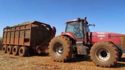 Início da safra de cana tem queda de 40% na quantidade de moagem