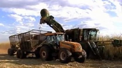 Quebra na safra da cana-de-açúcar deve forçar aumento no preço do etanol