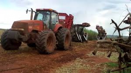 Em safra de cana estável, usinas do centro-sul impulsionam produção de açúcar