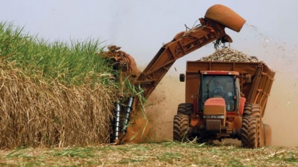 Mato Grosso deve reduzir produção de açúcar e etanol
