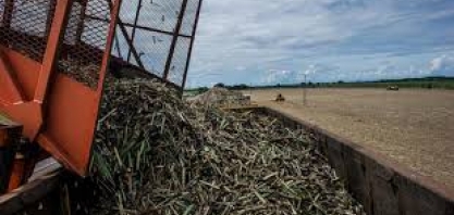 Unica: estiagem pode prejudicar oferta e provocar revisão de estimativa de moagem