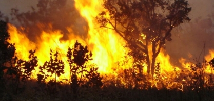 Pedido aos fumantes: não joguem bituca de cigarro acesa pela janela