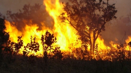 Pedido aos fumantes: não joguem bituca de cigarro acesa pela janela